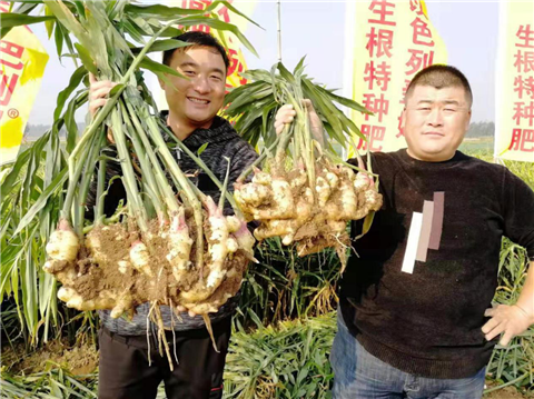 水溶肥，翠姆，拉姆拉