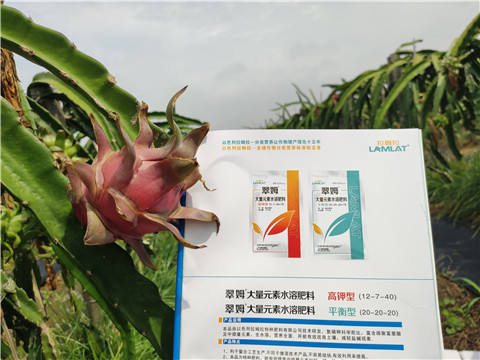 進(jìn)口水溶肥，拉姆拉，翠姆