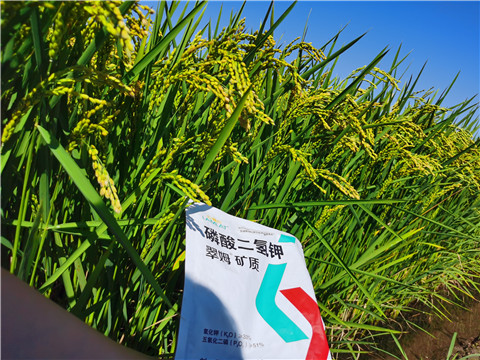 水溶肥，磷酸二氫鉀