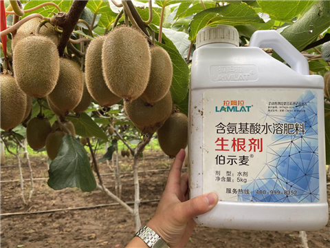 水溶肥，生根劑，微生物菌劑，伯示麥，拉姆拉