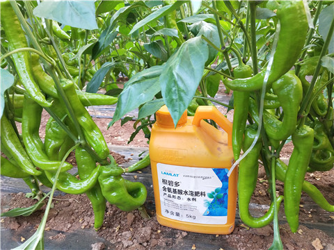 水溶肥，拉姆拉