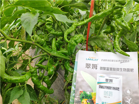 水溶肥，拉姆拉