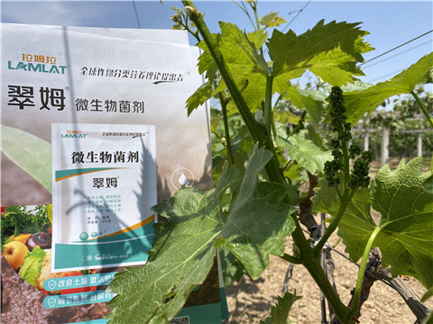 微生物菌劑，拉姆拉，翠姆