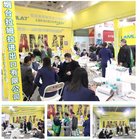 水溶肥，拉姆拉，翠姆