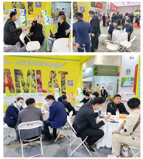 水溶肥，拉姆拉，翠姆