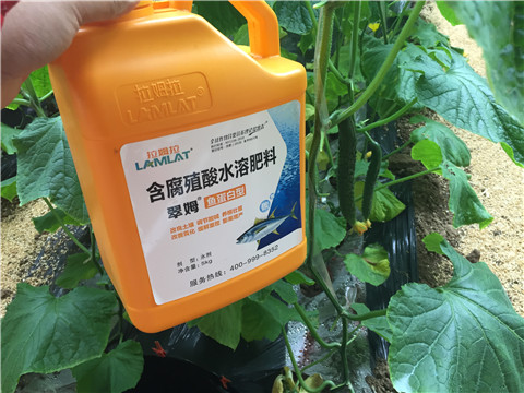 滴灌肥，拉姆拉，翠姆