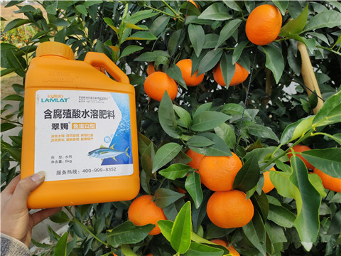滴灌肥，拉姆拉，翠姆