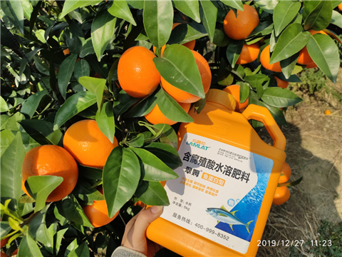 水溶肥，拉姆拉，翠姆