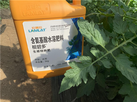 水溶肥，拉姆拉，翠姆