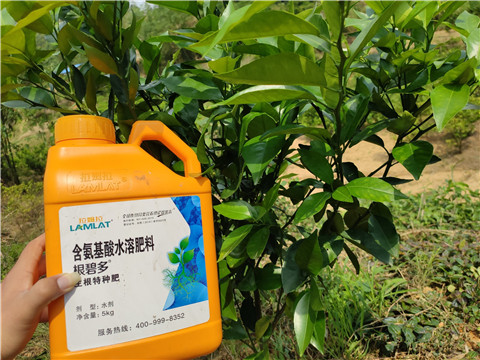 水溶肥，拉姆拉，翠姆