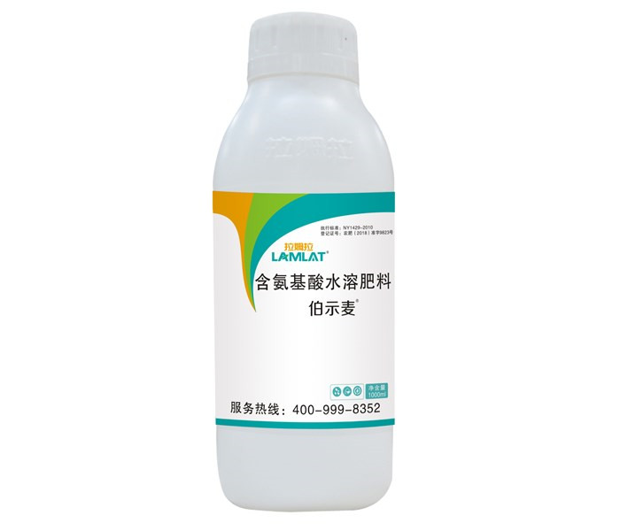 葉面肥，拉姆拉，伯示麥