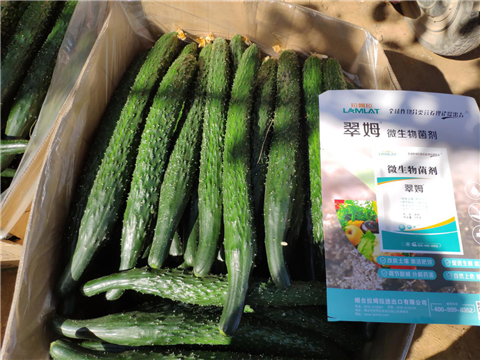 微生物菌劑，拉姆拉，翠姆