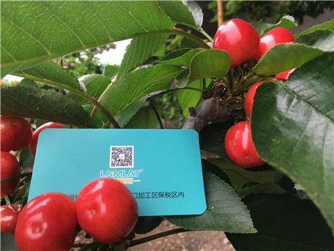 大量元素水溶肥，拉姆拉，翠姆