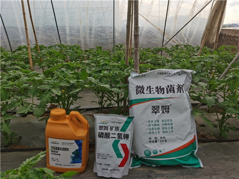 水溶肥，拉姆拉，翠姆