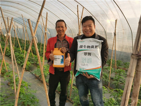 水溶肥，拉姆拉，翠姆