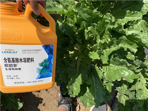 水溶肥，拉姆拉，翠姆