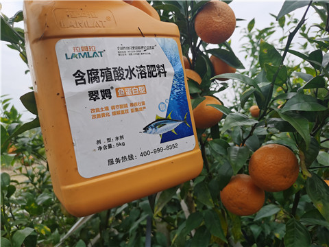 水溶肥，拉姆拉，翠姆