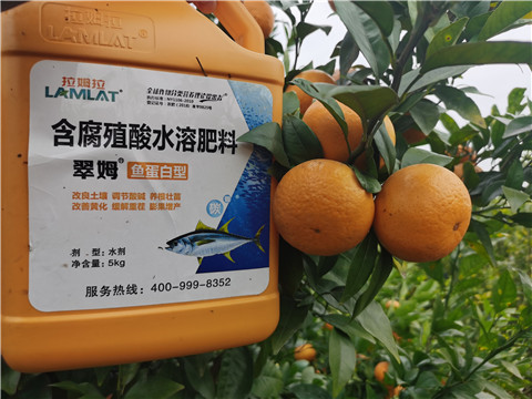 水溶肥，拉姆拉，翠姆