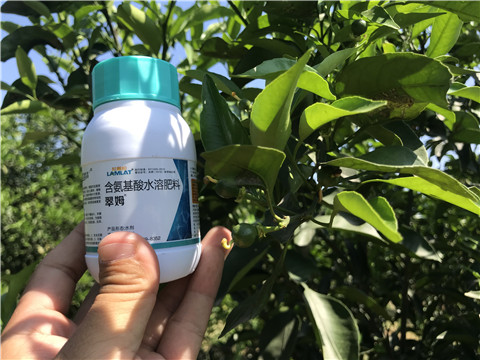 葉面肥，拉姆拉，翠姆