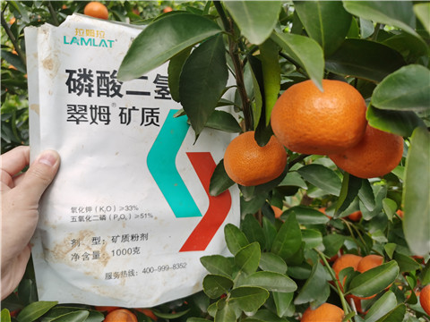 水溶肥，拉姆拉，翠姆