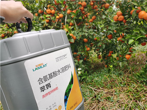 水溶肥，拉姆拉，翠姆