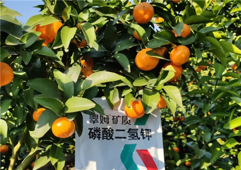 磷酸二氫鉀，拉姆拉，翠姆