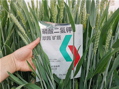葉面肥，水溶肥，磷酸二氫鉀