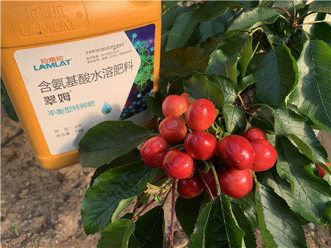 氨基酸水溶肥，拉姆拉，翠姆