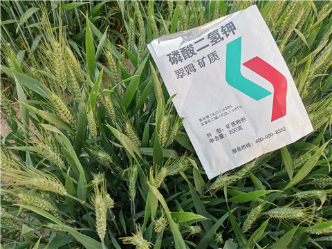 水溶肥，拉姆拉，翠姆
