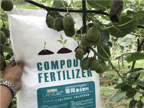 顆粒水溶肥，拉姆拉，翠姆