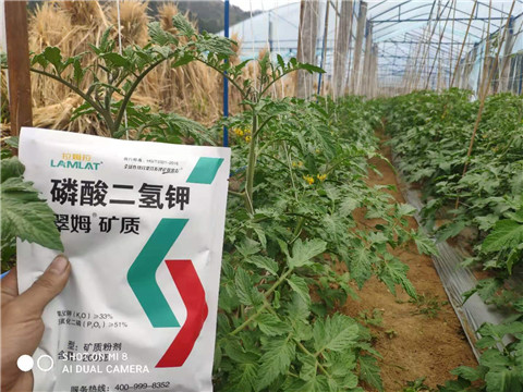 磷酸二氫鉀，拉姆拉，翠姆