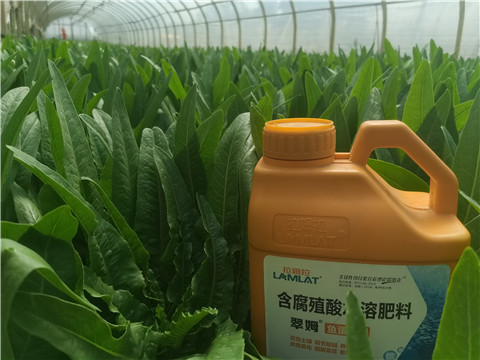 水溶肥，翠姆，拉姆拉