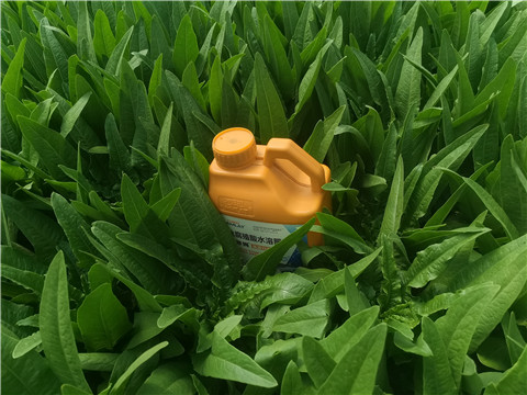 水溶肥，翠姆，拉姆拉