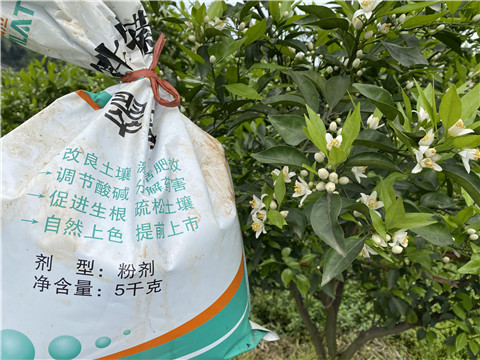 水溶肥，翠姆，拉姆拉
