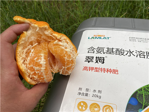 水溶肥，翠姆，拉姆拉