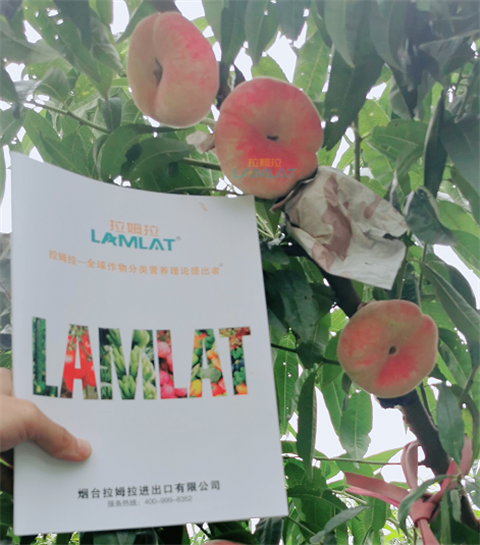 水溶肥，翠姆，拉姆拉