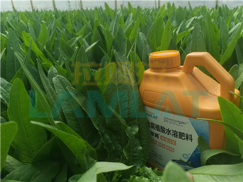 水溶肥，翠姆，拉姆拉