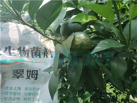 微生物菌劑，翠姆，拉姆拉