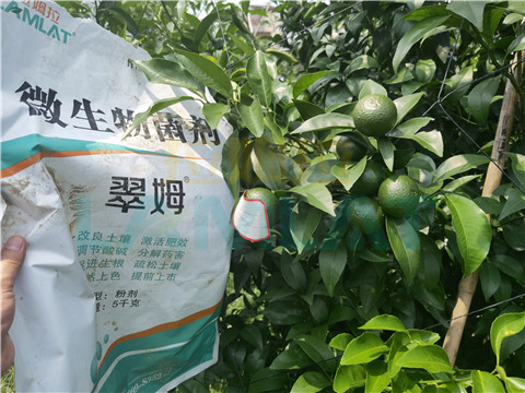 微生物菌劑，翠姆，拉姆拉