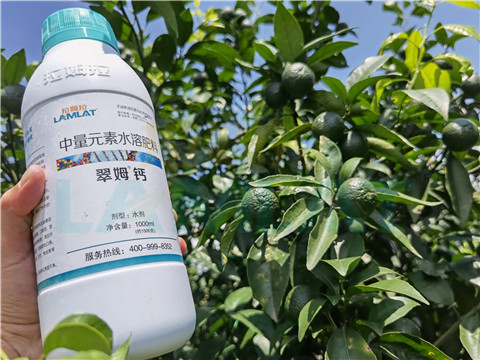水溶肥，拉姆拉，翠姆