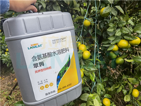 水溶肥，拉姆拉，翠姆