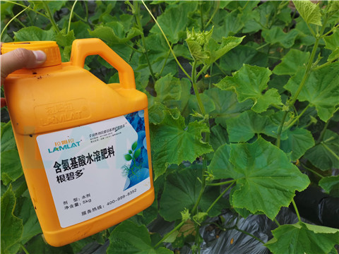水溶肥，拉姆拉，翠姆