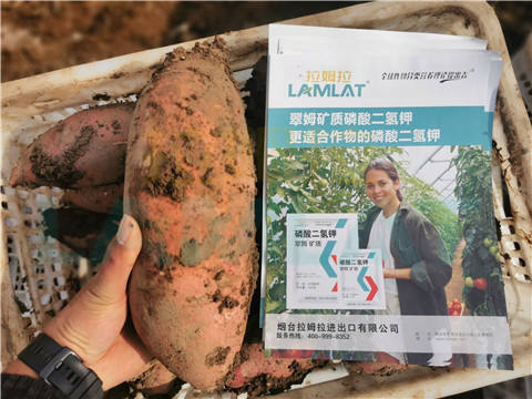 水溶肥，拉姆拉，翠姆