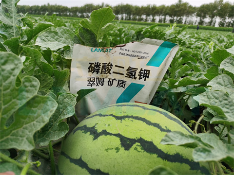 水溶肥，拉姆拉，翠姆