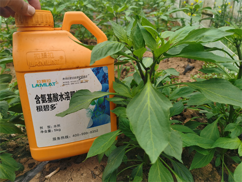 水溶肥，翠姆，拉姆拉