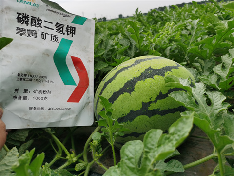 水溶肥，翠姆，拉姆拉