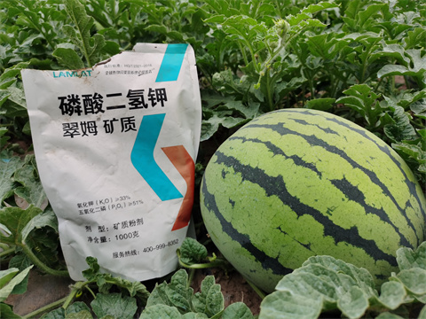 水溶肥，翠姆，拉姆拉